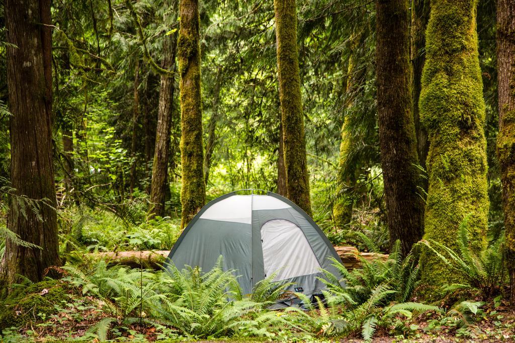 Mount Hood Village Premium Yurt 4 Welches Exterior foto